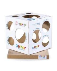 Balloon Sizer