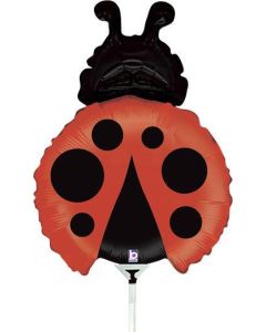 14" Ladybird Pk10