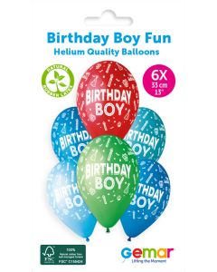 13" #478 Birthday Boy Fun GS120 6pcs