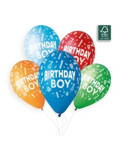 13" (25ct) Birthday Boy #004, #009, #010, #012, #045 - 948370