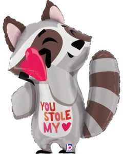 31" Stole my heart Raccoon