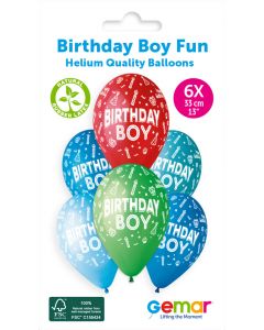 13" #478 Birthday Boy Fun GS120 6pcs